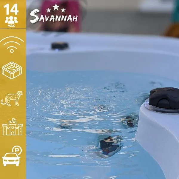 ''Le Savannah'' - Jacuzzi - A 3min du Zoo de Beauval, hotel in Saint-Aignan
