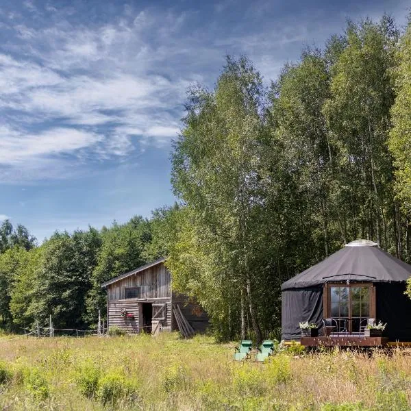 Jurta Pod Brzozami, hotel in Pogrodzie