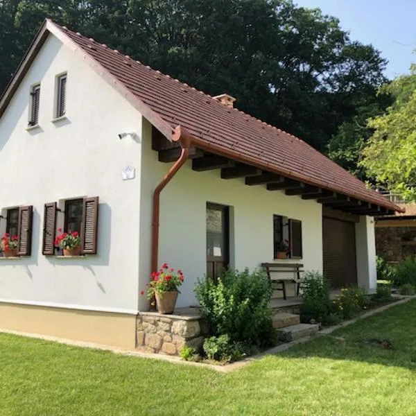 Tücsök Vendégház Óbánya, hotel v destinaci Óbánya