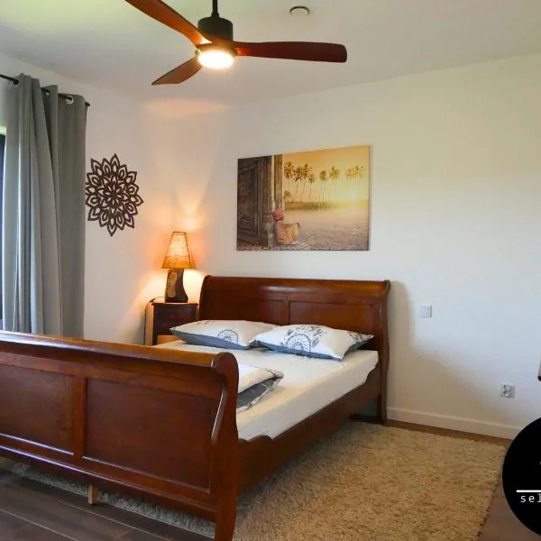 Seliga Sport Apartments & SPA, hotel v destinaci Lesznowola