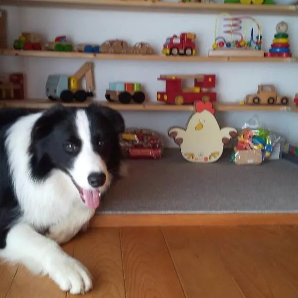 ちびっこ・わんこ・リゾート Sarari (里楽里)、Tabuchiのホテル