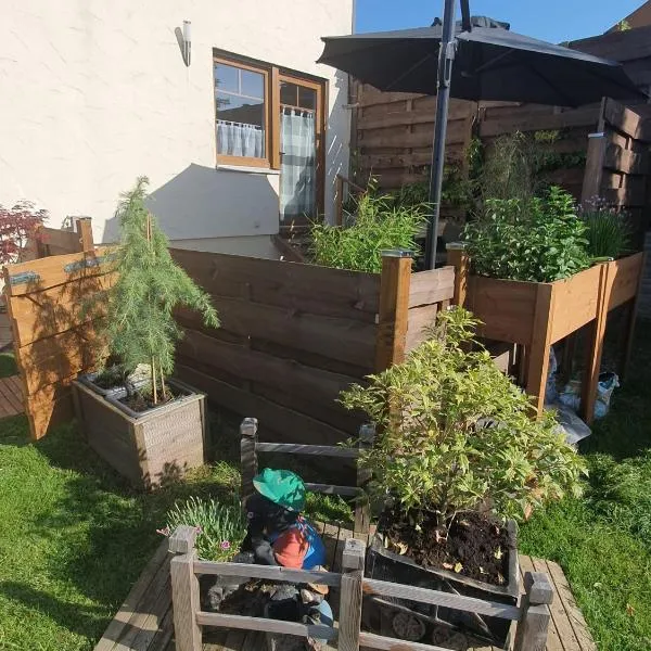 FeWo Weismark,位于特里尔的酒店