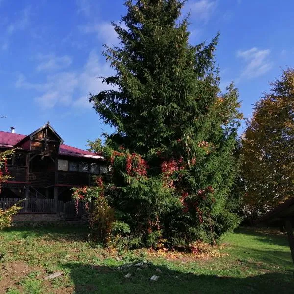 Na Wyraju, hotel in Trzcianka
