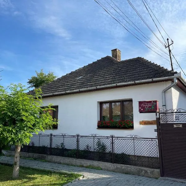Gyongyver Panzio, khách sạn ở Sfântu-Gheorghe