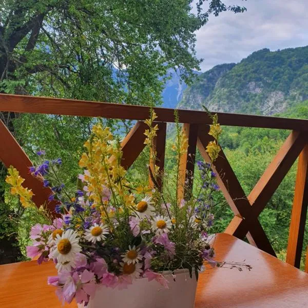 Villa Davisol, hotel in Theth