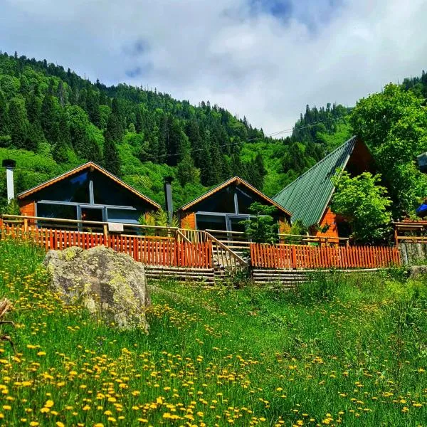 Yayla Bungalov, hotell sihtkohas Ayder Yaylasi