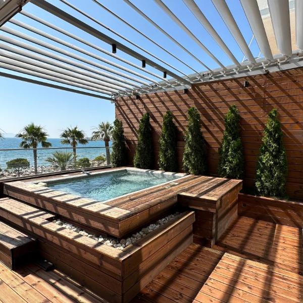 Belleview Apartment 1