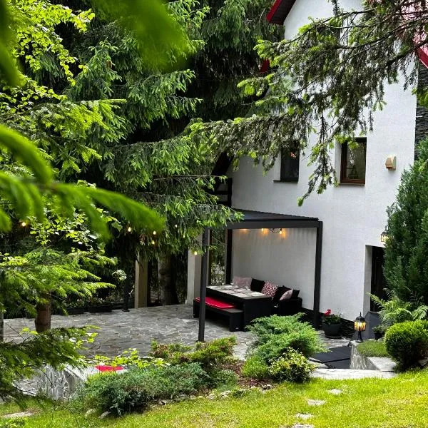 Mountain Chalet - Cabana la Muntele Baisorii,Muntele Cacovei的飯店