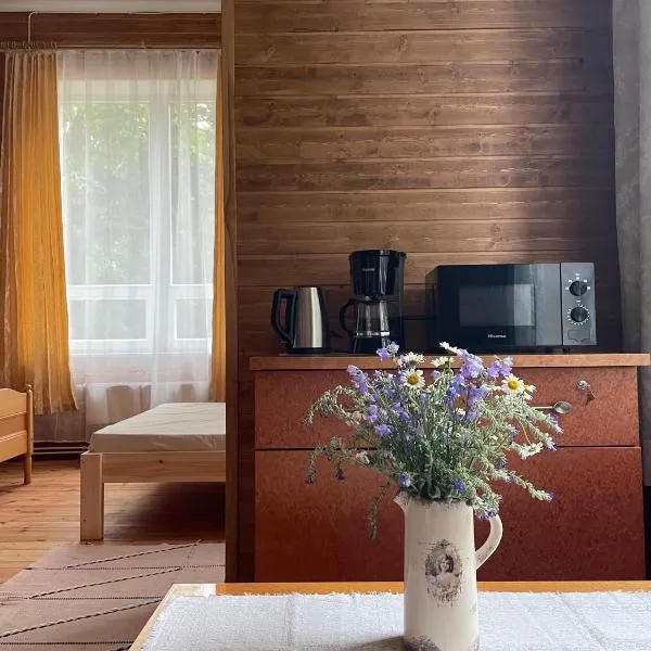 Võhma Külamaja, hôtel à Võhma