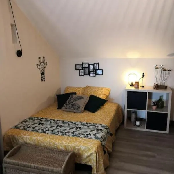 Studio proche zoo de la Flèche, hotel in La Flèche