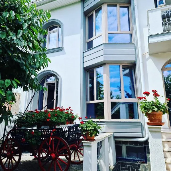 Atlantic Boutique, hotel in Târgu-Mureş