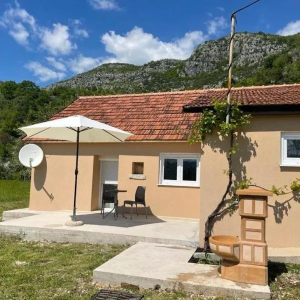 Holiday house ISIDORA, hotel in Danilovgrad