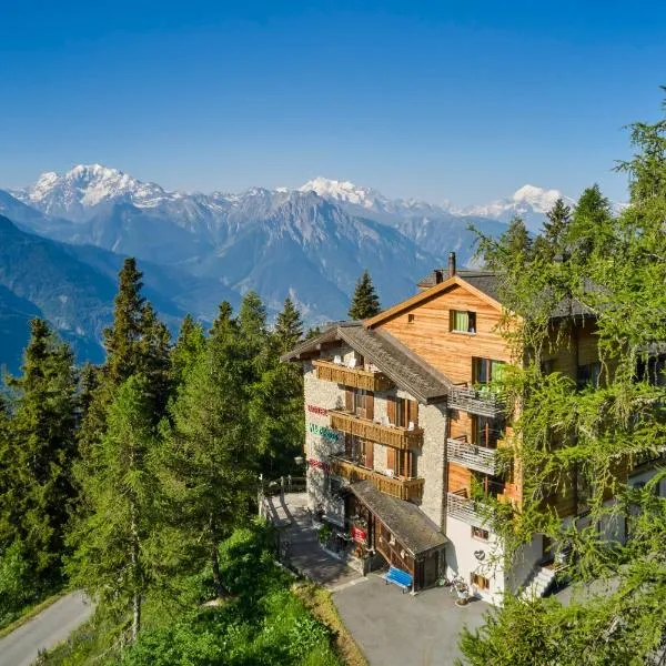 Hotel Waldhaus, hotel in Bettmeralp