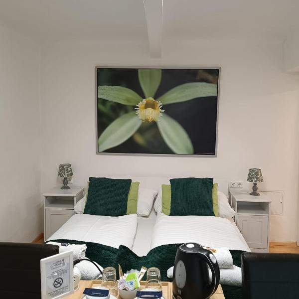 Cityhotel Junger Fuchs, Salcburk