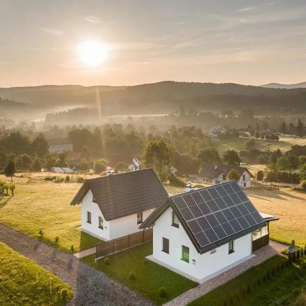 Domki Zielone Wzgórze 606-819-046，波蘭茲克的飯店