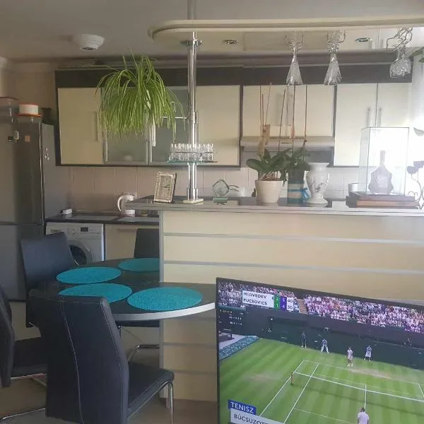 Elaktra Apartman、ソルノクのホテル