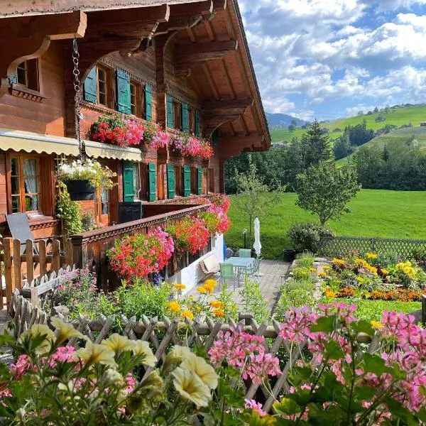 Alpenchalet Spiher Ferienwohnung-Studio und ein weiteres Schlafzimmer, hotel in Gstaad