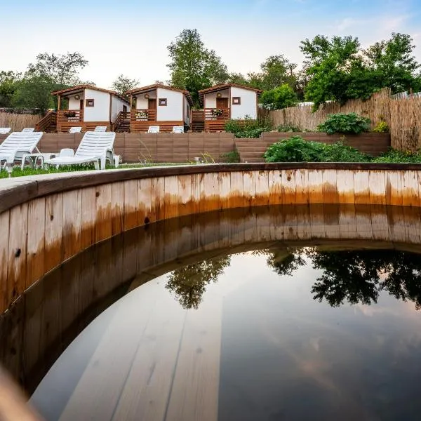 Flori Haus Saschiz, ξενοδοχείο σε Saschiz