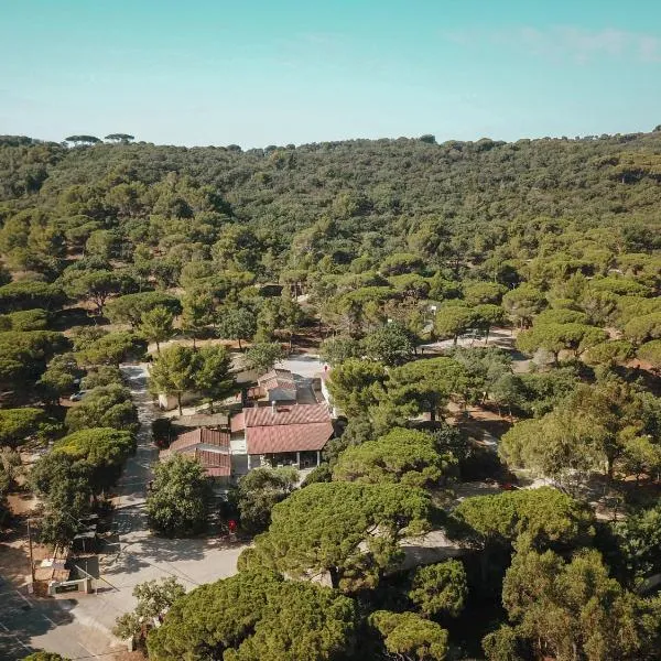Camping Ladouceur, hôtel à Ramatuelle