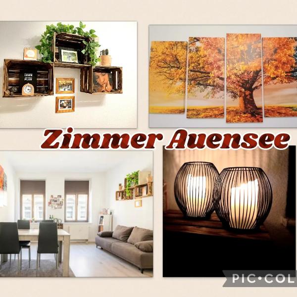 Zimmer Auensee, Lipsk