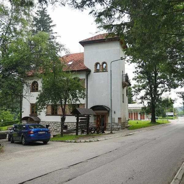 Garni Hotel Vila Drina, hotel a Perućac