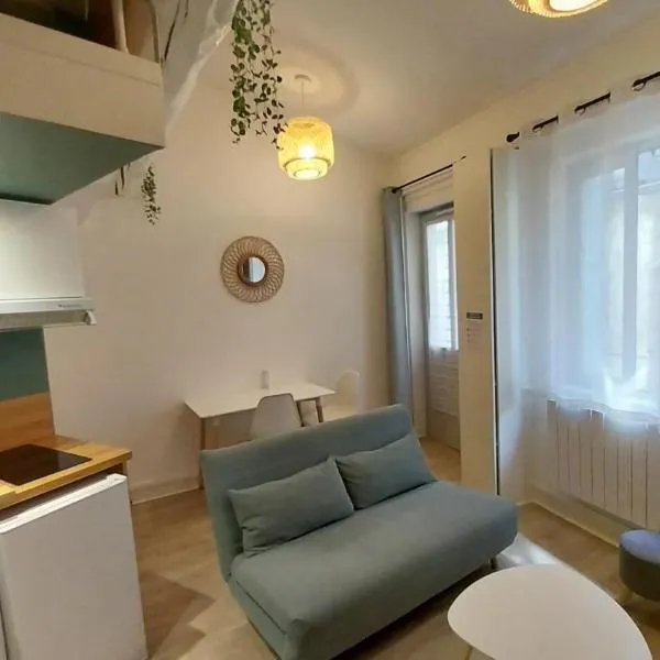 Studio cosy Lyon quai de Saône, centre ville, хотел в Лион