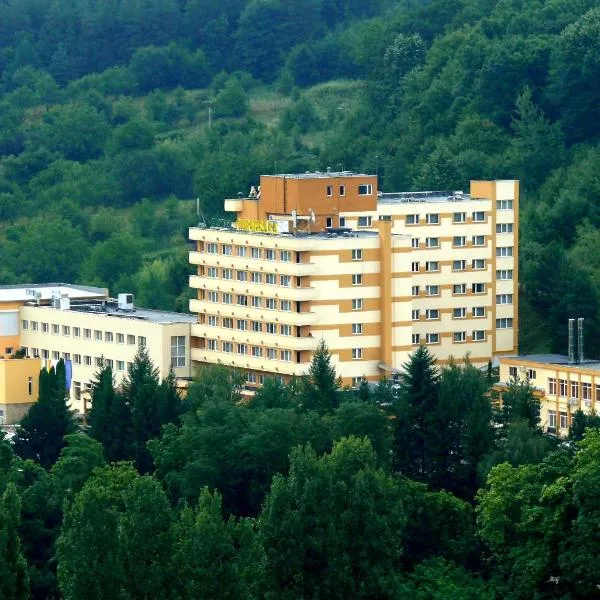 Hotel Germisara, hotel in Geoagiu Băi