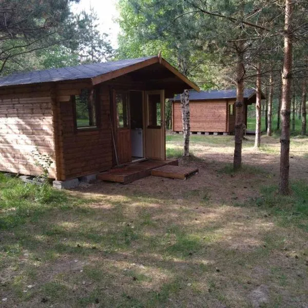 Домик на Чудском озере, hotel em Katase