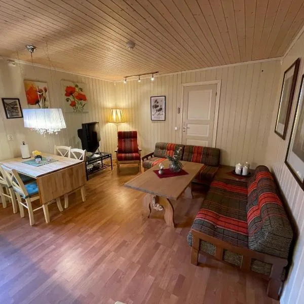 Kjerkgata 6 - midt i Røros sentrum, hotel in Røros