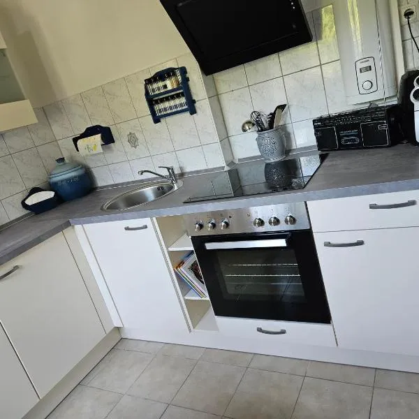 Ferienwohnung 1 Am Park，Divitz的飯店