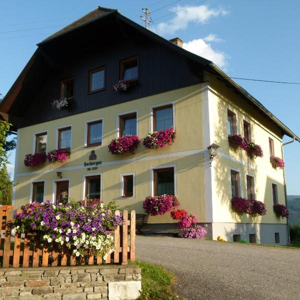 Ferienwohnungen Bachergut