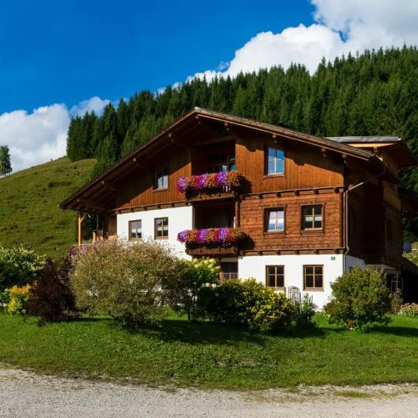 Lenzerhof, hotel in Grän