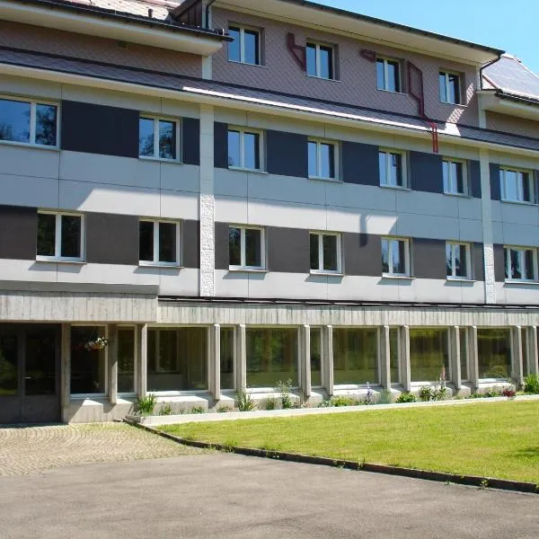 Allegro Alpin Lodge, hôtel à Einsiedeln