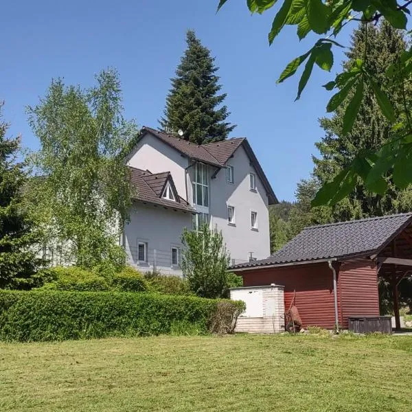 Apartmán Lipno, ξενοδοχείο σε Lipno nad Vltavou