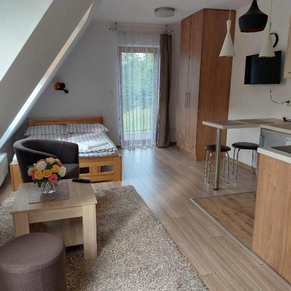 Apartamenty CEDE Zakopane