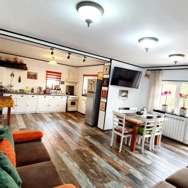 CASA de VIS，位于锡纳亚的酒店