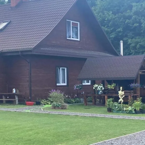 Pod Dębem, hotel Białowieżában