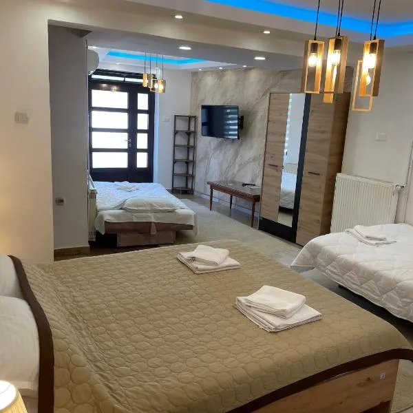 Bora Apartmani - FREE PARKING - CITY CENTER, hotel v destinaci Vranje