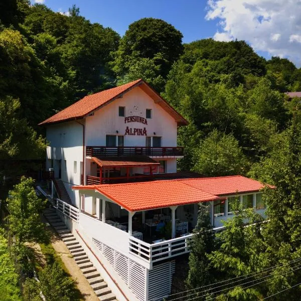 阿尔皮纳酒店,位于马拉亚的酒店