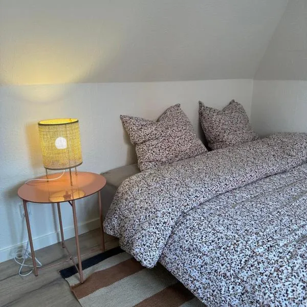 Loftlejlighed i centrum, Hotel in Ringkøbing