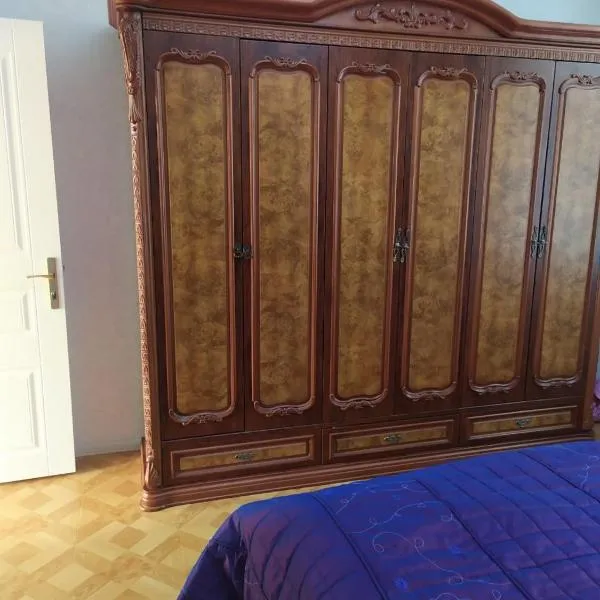 Villa in Nakhchivan city, Azerbaijan, hotel in Naxçıvan