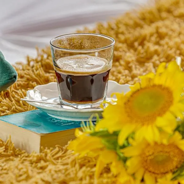 Dodi Studio Compact, hotel in Arad