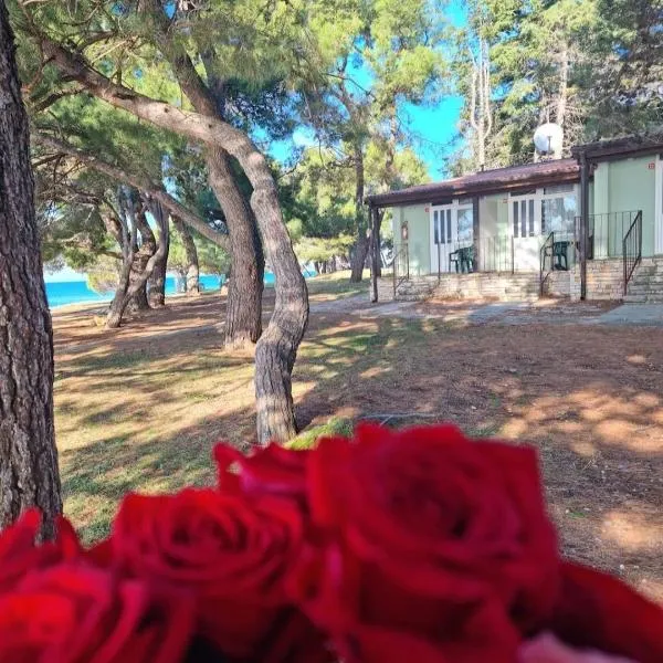 Family Bungalow Pineta，位于诺维格勒伊斯特拉的酒店