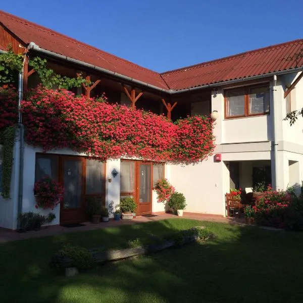 Ida Rooms, Hotel in Lajosmizse