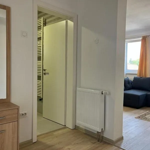 Sabina Apartaments, hotel v destinaci Sfântu-Gheorghe
