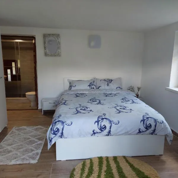 Cabană cu teren de tenis -- parter、Băniţaのホテル