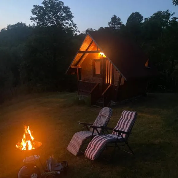 Căbănuță rustică 02, hotel in Băniţa