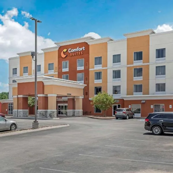 Comfort Suites Knoxville East, hotel in Knoxville