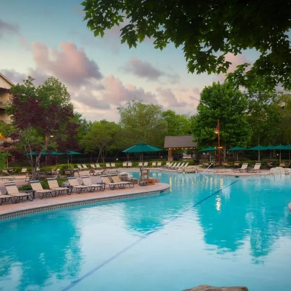 Marriott's Willow Ridge Lodge, hotel in Branson