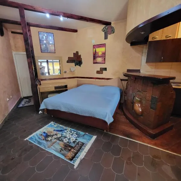 LENA Apartman 45m2 Sokobanja-CENTAR,位于索科矿泉村的酒店